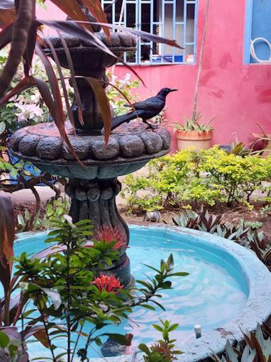 Estrella Beachfront Hotel San Juan del Sur Extérieur photo